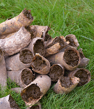 Qualität & Demeter Qualität & Demeter