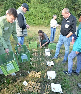 Diversität Diversität