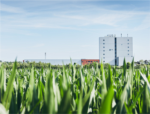 Bauck Mühle Bauck Mühle