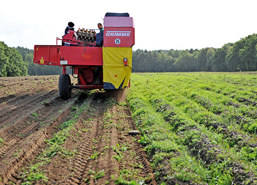 Landwirtschaft Landwirtschaft
