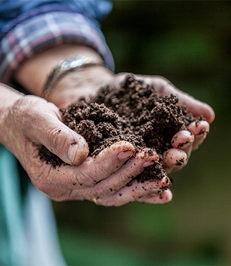 Verantwortung Verantwortung