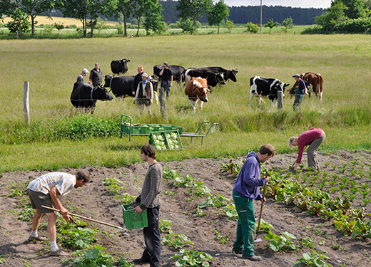 Sozialtherapie Sozialtherapie